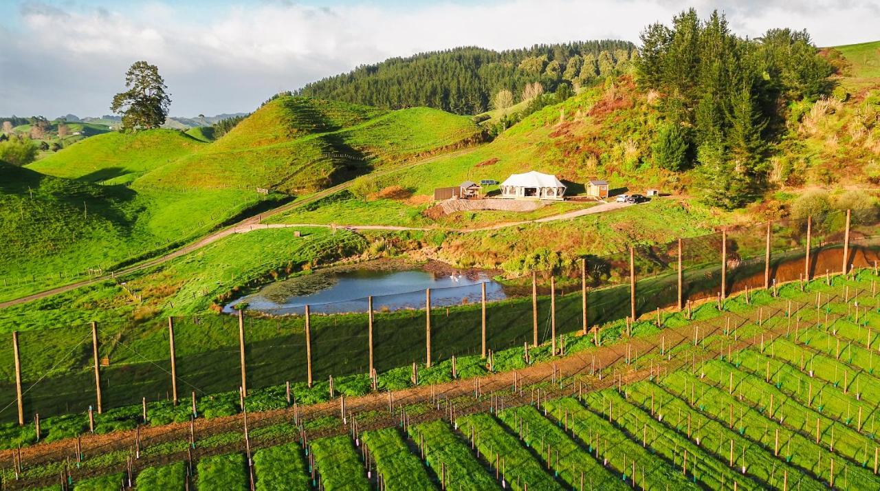 Orchard Valley Glamping Otorohanga Exterior foto