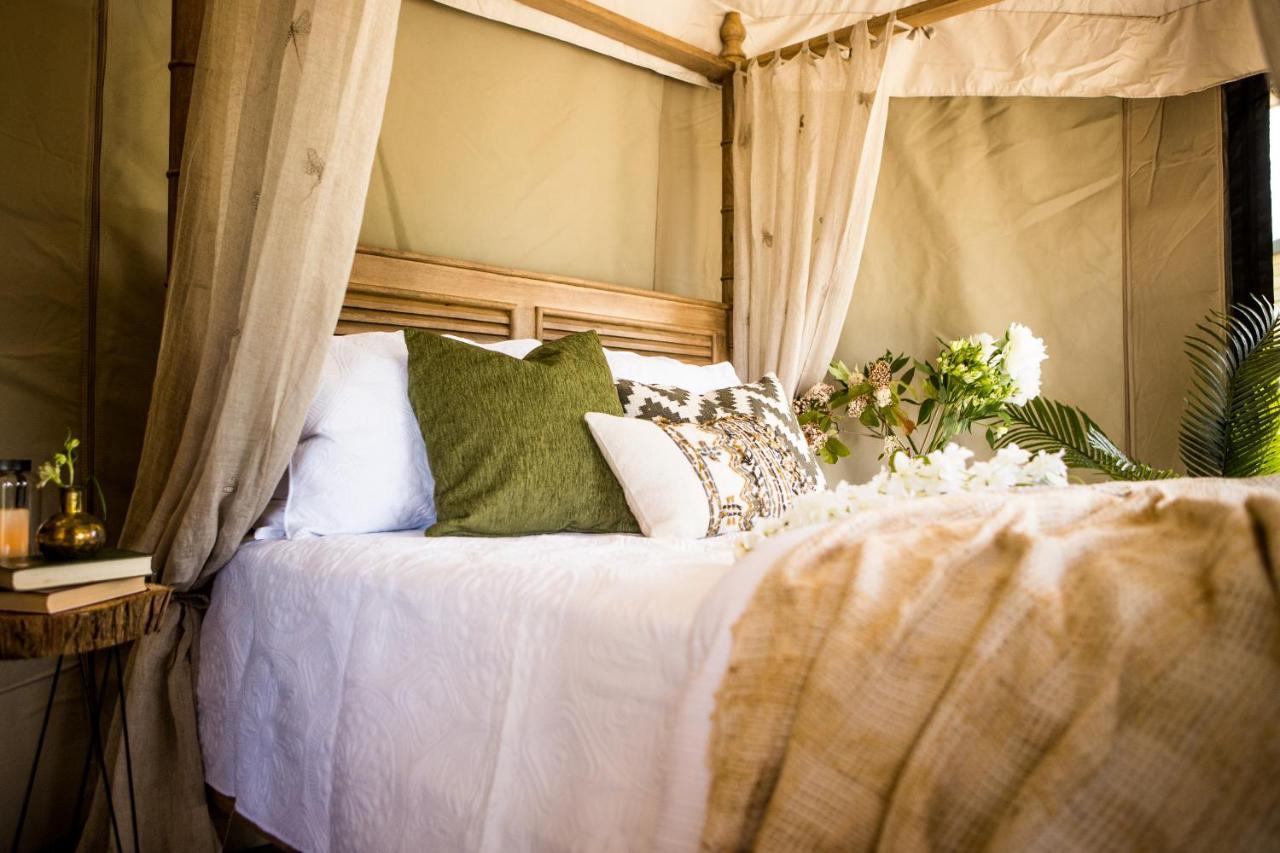 Orchard Valley Glamping Otorohanga Exterior foto